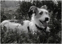 001 Felix Mecklenburgische Seenplatte SAM_3476 Kopie